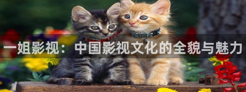 青柠影院在线观看免费：一姐影视：中国影视文化的全貌与魅力