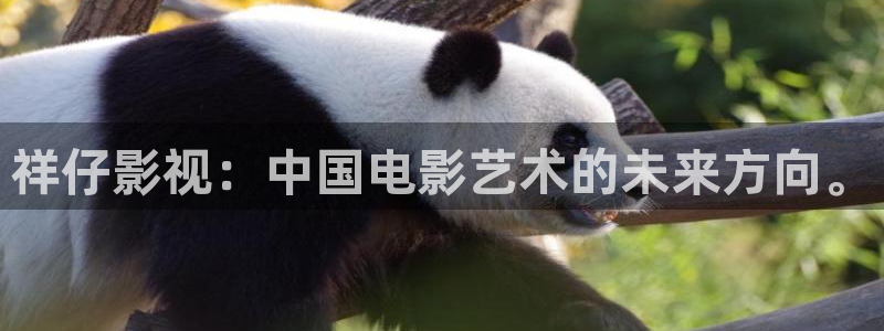 青柠影院免费高清电视剧动漫在线观看：祥仔影视：中国电影艺术的未来方向。