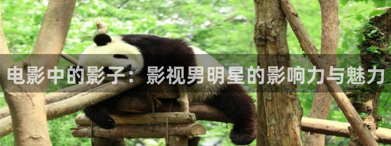 青柠影院免费观看电视：电影中的影子：影视男明星的影响力与魅力