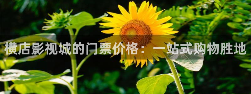 青柠影视在线：横店影视城的门票价格：一站式购物胜地