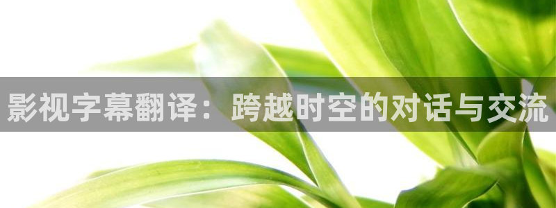 青柠网：影视字幕翻译：跨越时空的对话与交流