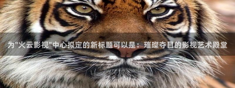 青柠影院在线观看免费高清完整：为\